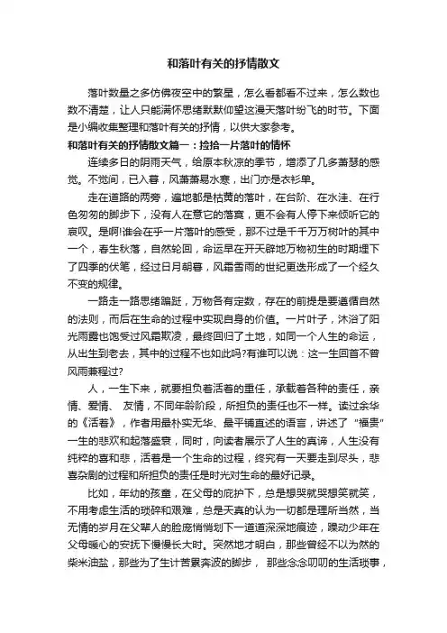 和落叶有关的抒情散文