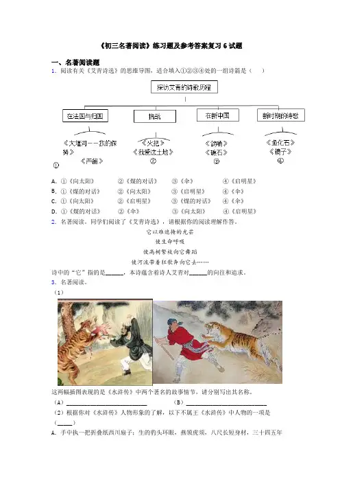《初三名著阅读》练习题及参考答案复习6试题