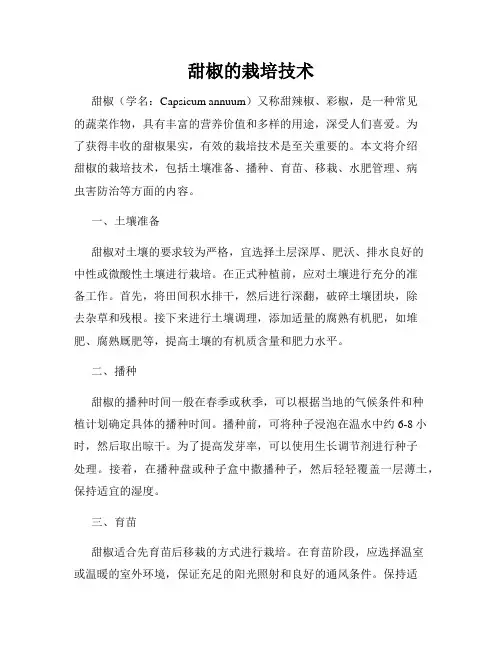 甜椒的栽培技术