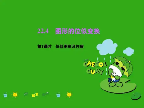 《图形的位似变换》PPT课件 (公开课获奖)2022年沪科版 (2)
