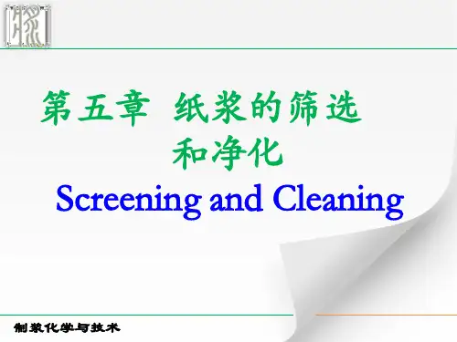 制浆造纸筛选净化