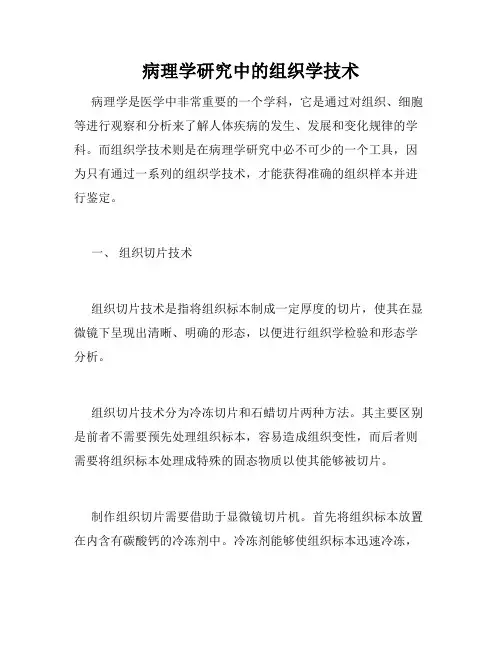 病理学研究中的组织学技术