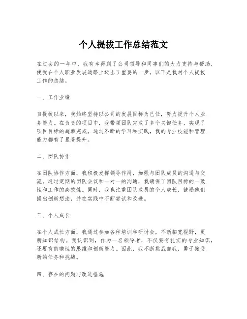 个人提拔工作总结范文