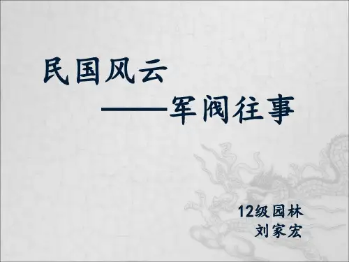 乱世枭雄