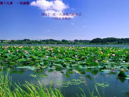 19.2.2待定系数法求一次函数的解析式(公开课)ppt课件