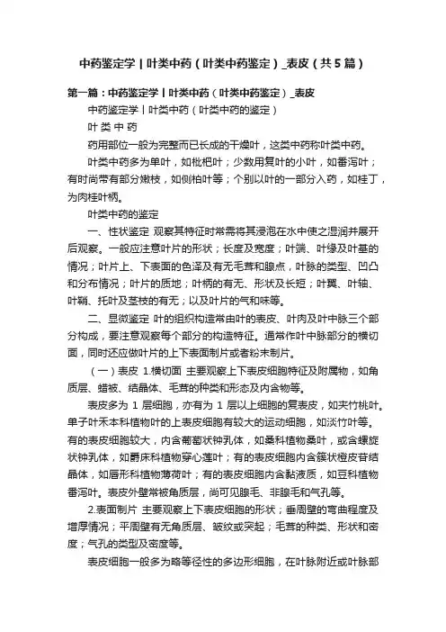 中药鉴定学丨叶类中药（叶类中药鉴定）_表皮（共5篇）