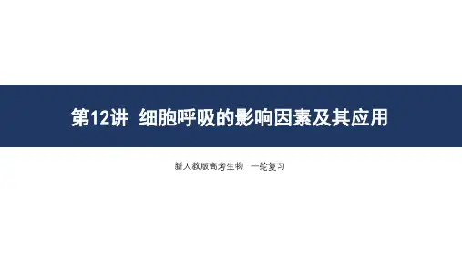 第12讲 细胞呼吸的影响因素及其应用-高考生物一轮复习课件