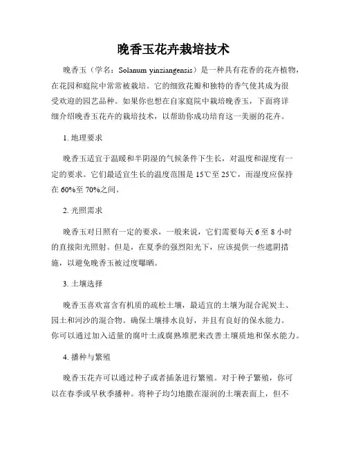晚香玉花卉栽培技术