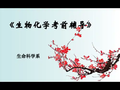生物化学考前辅导班PPT课件
