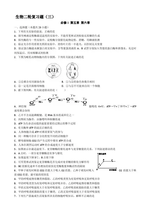 黑龙江省大庆铁人中学2015届高三高考模拟试题(二) 生物 Word版含答案