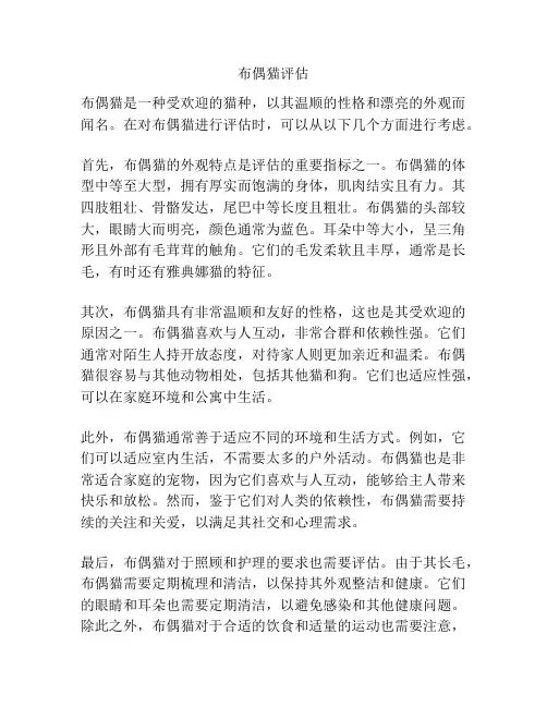 布偶猫评估