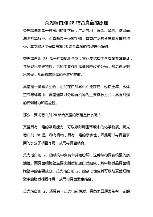 荧光增白剂28结合真菌的原理