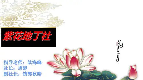 社团评优PPT
