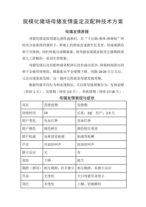 规模化猪场母猪发情鉴定及配种技术方案