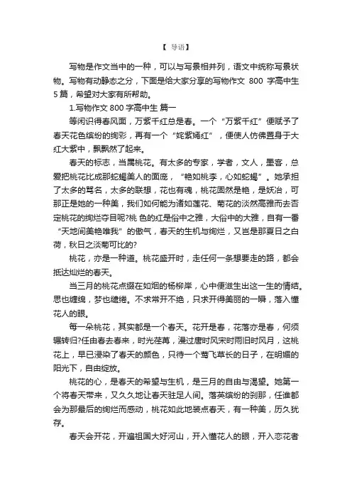 写物作文800字高中生5篇