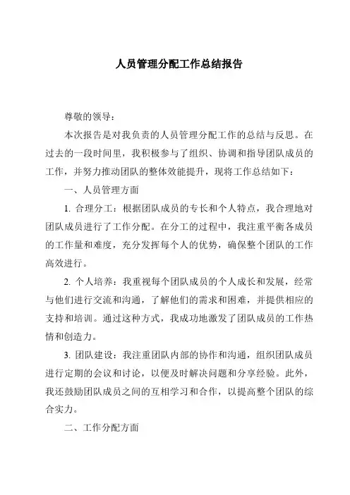 人员管理分配工作总结报告