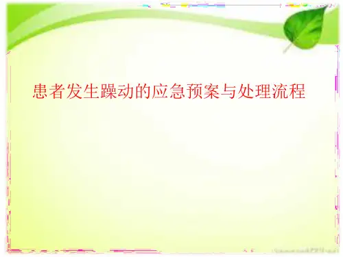患者发生躁动护理应急预案及处理流程