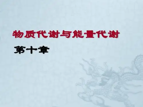 10-物质代谢与能量代谢(09)