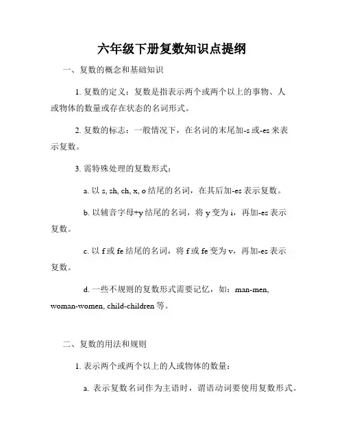 六年级下册复数知识点提纲