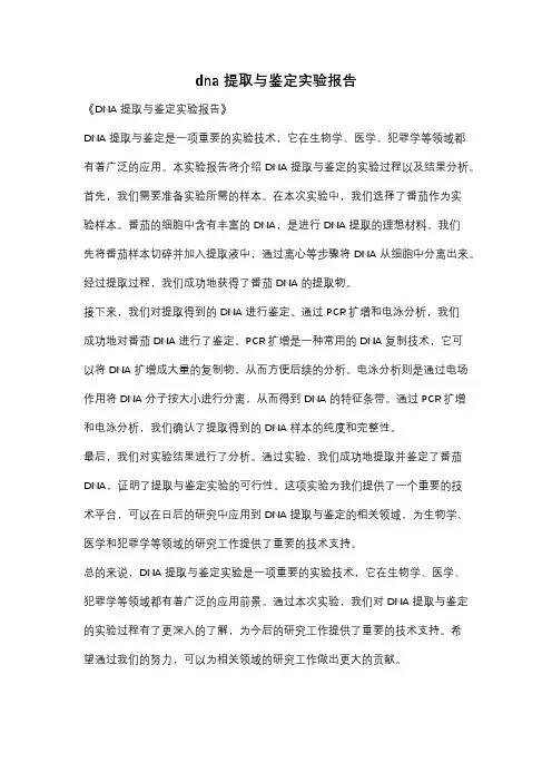 dna提取与鉴定实验报告