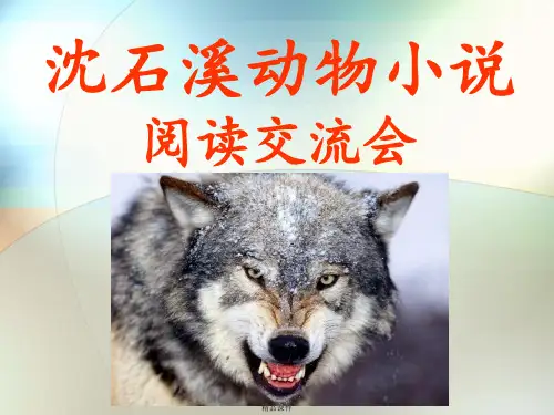 沈石溪动物小说读书交流会