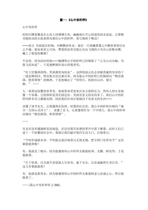 我心中有杆秤作文800