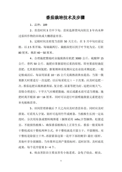 番茄栽培技术及步骤