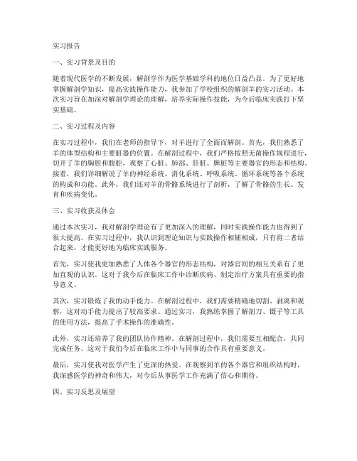 解刨羊的实习报告