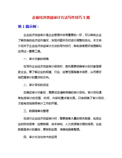 企业经济效益审计方法写作技巧5篇