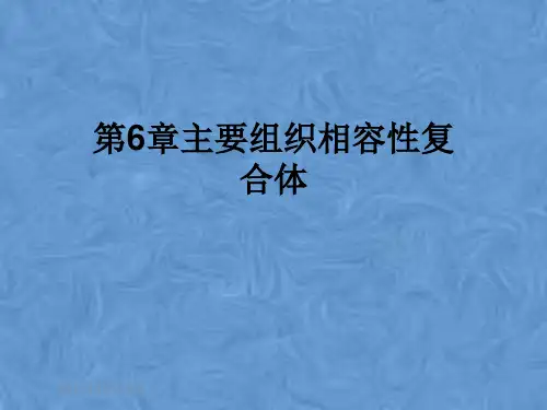 第6章主要组织相容性复合体
