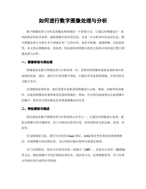 如何进行数字图像处理与分析