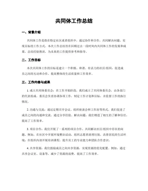 共同体工作总结