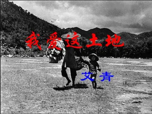 《我爱这土地》教学课件(48张PPT)