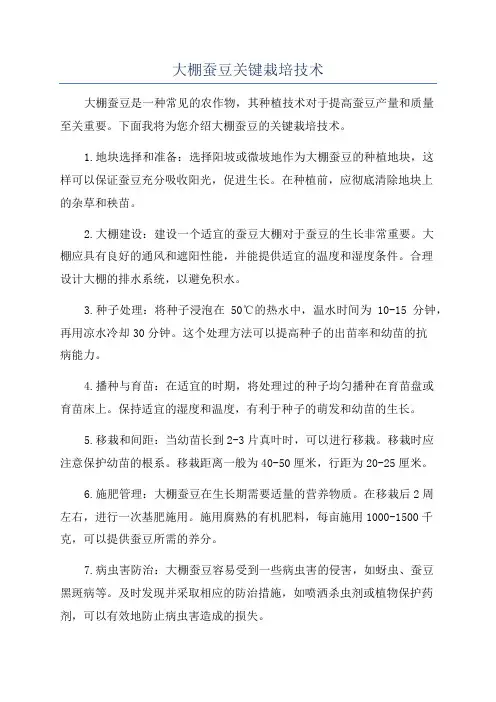 大棚蚕豆关键栽培技术