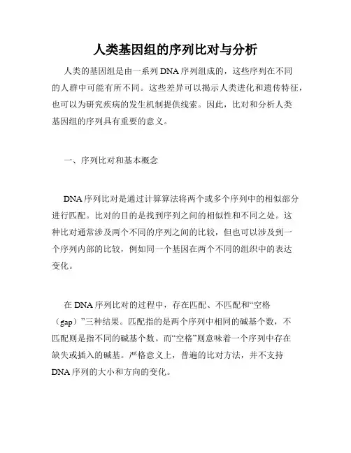 人类基因组的序列比对与分析