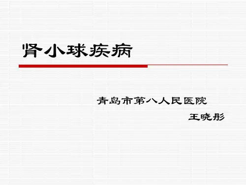 肾小球疾病