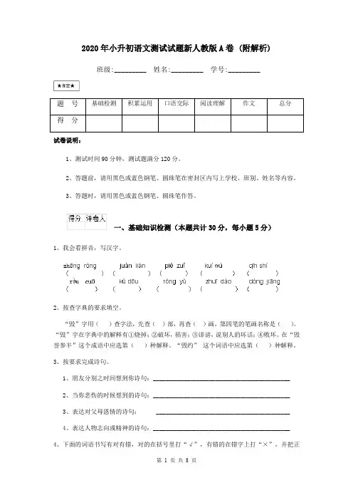 2020年小升初语文测试试题新人教版A卷 (附解析)