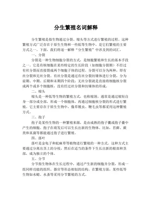 分生繁殖名词解释