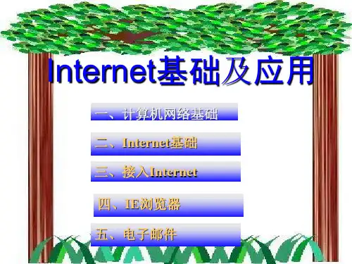 中学信息技术 Internet的应用 PPT课件
