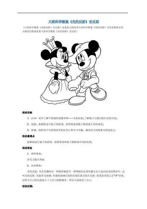 大班科学教案《光的反射》