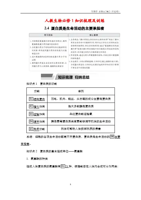 【人教生物必修1知识梳理及训练】2.4 蛋白质是生命活动的主要承担者