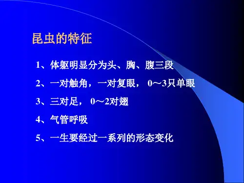 仓库昆虫学