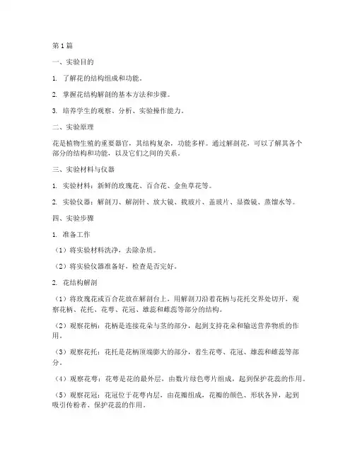 花结构解剖实验报告(3篇)