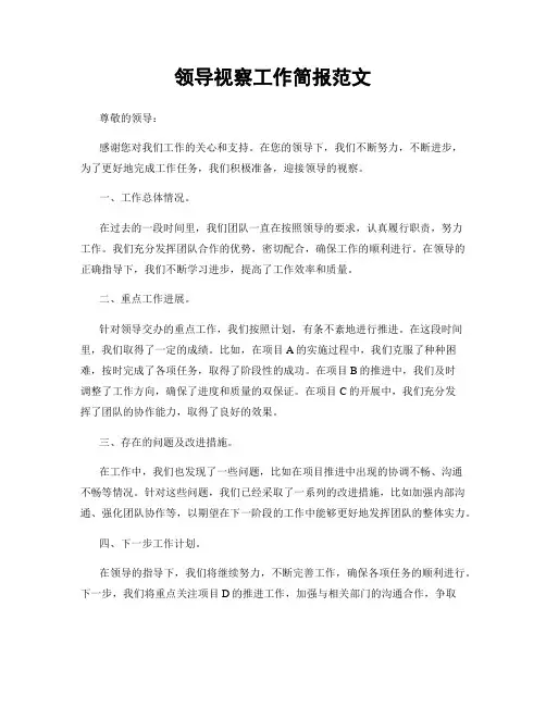 领导视察工作简报范文