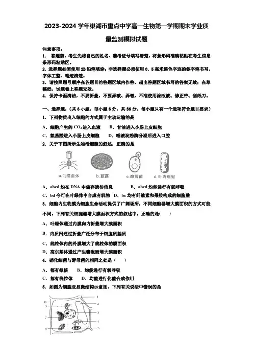 2023-2024学年巢湖市重点中学高一生物第一学期期末学业质量监测模拟试题含解析
