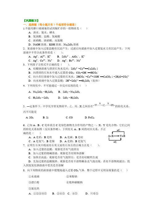 巩固练习—碳硅(提高)