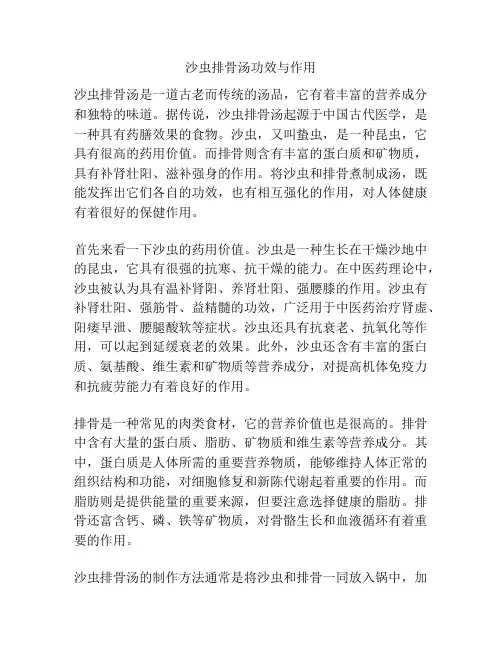 沙虫排骨汤功效与作用