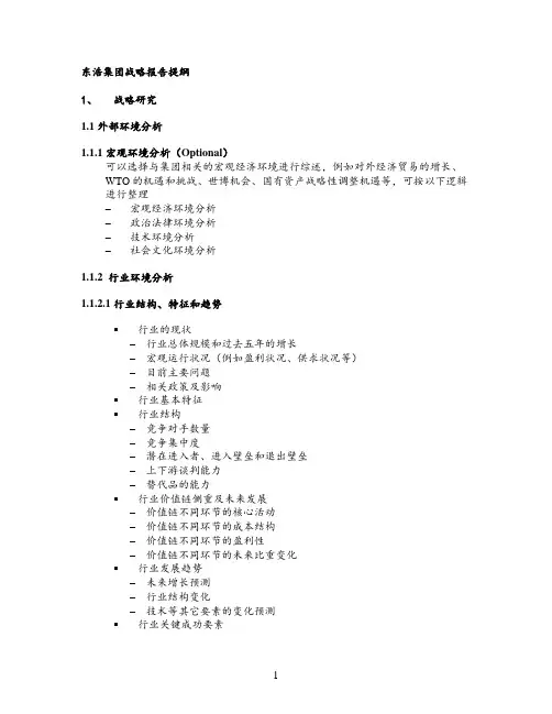 东浩集团战略报告提纲_1.doc