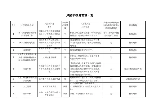 风险和机遇管理计划