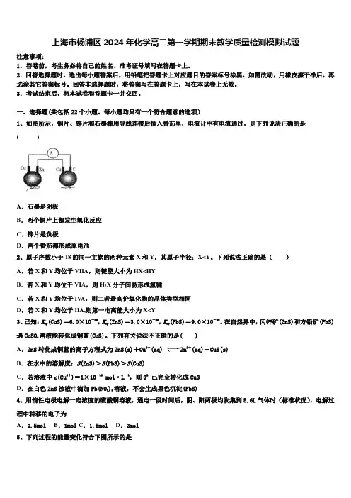上海市杨浦区2024年化学高二第一学期期末教学质量检测模拟试题含解析
